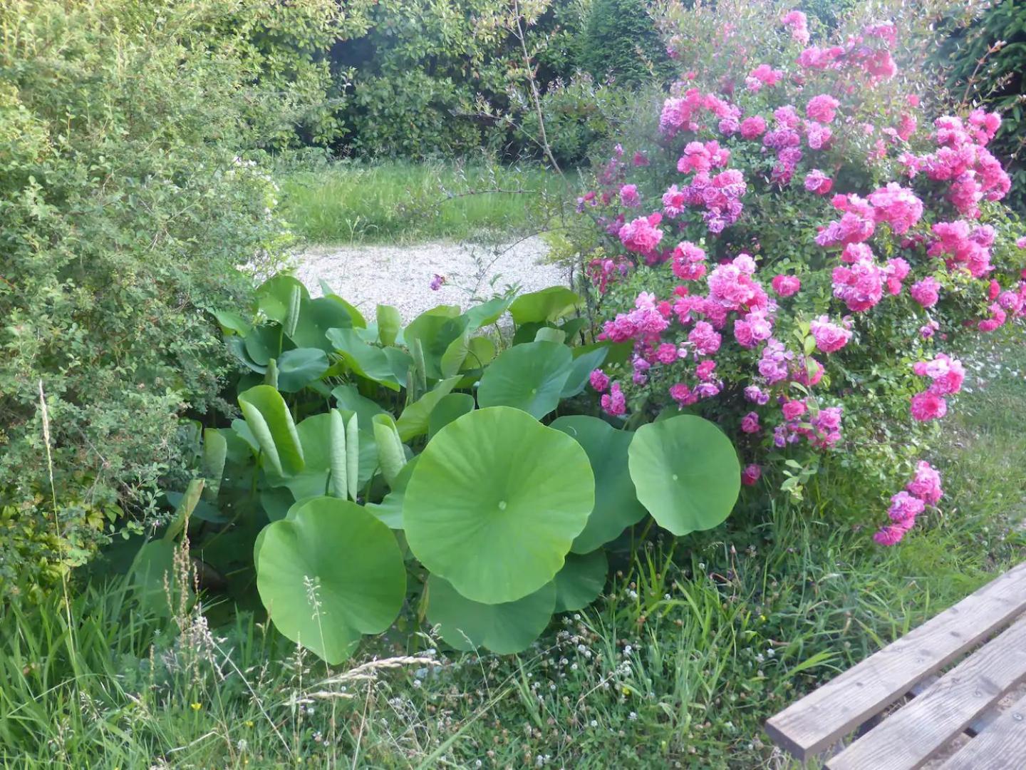 La Maison De L'Ecolieu Du Turc - Piscine Partagee Le Mas-d'Agenais Luaran gambar